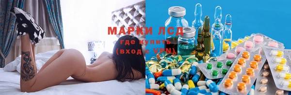 ГАЛЛЮЦИНОГЕННЫЕ ГРИБЫ Арсеньев