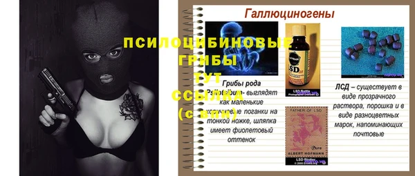 ГАЛЛЮЦИНОГЕННЫЕ ГРИБЫ Арсеньев