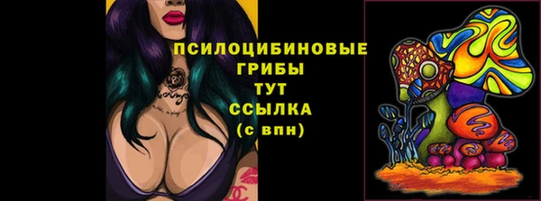 мдпв Армянск